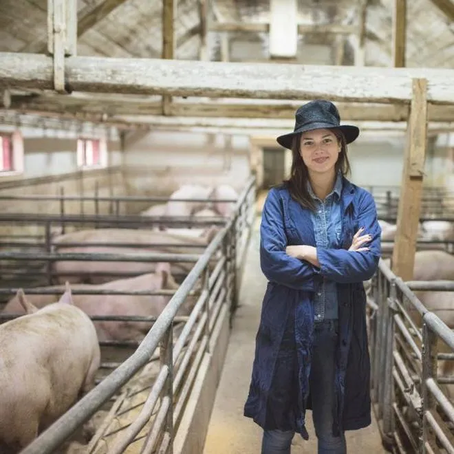 Opłacalność w rolnictwie