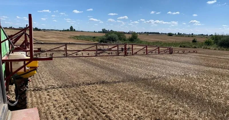 Opryski na ściernisko