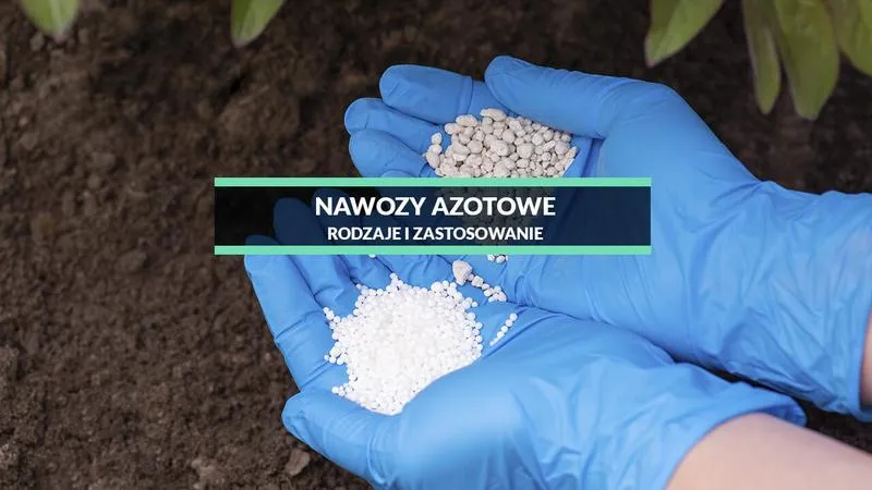 Optymalne terminy nawożenia azotowego