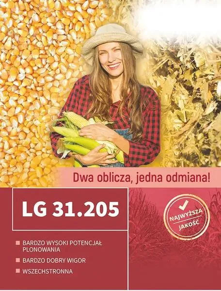Plon kukurydzy z ha