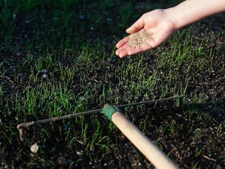 Poprawa struktury gleby