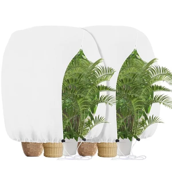 Prawne konsekwencje zrywania roślin