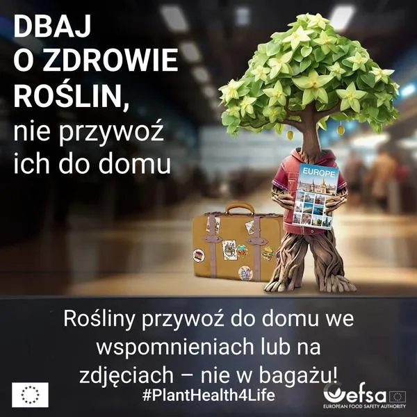 Przewóz roślin w bagażu podręcznym