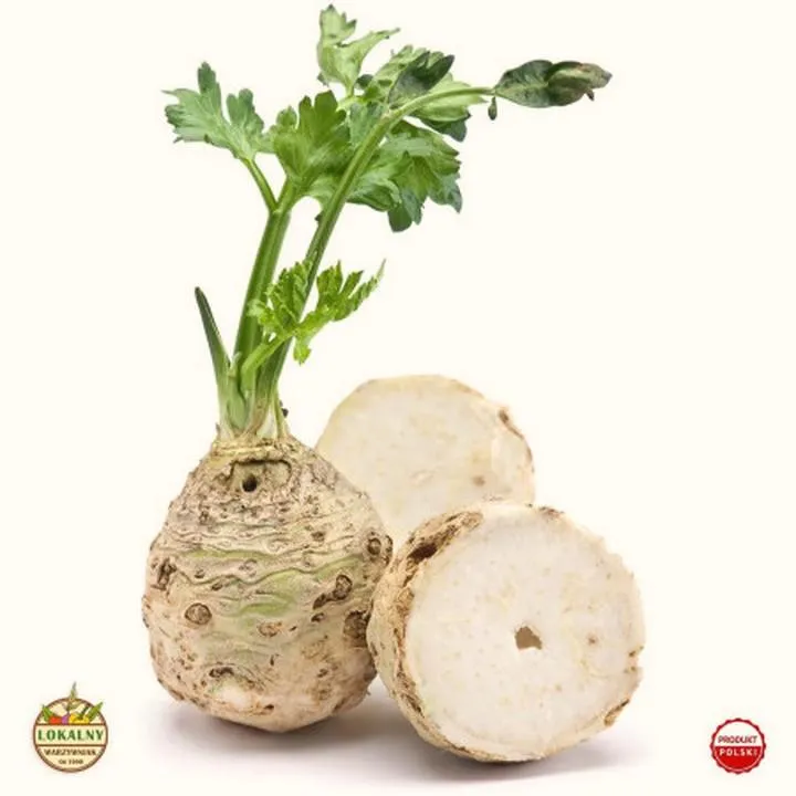 Przygotowanie rozsady selera