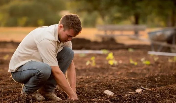Rachunek za usługi rolnicze