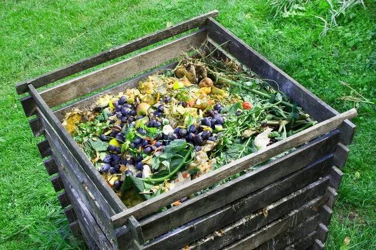 Rodzaje nawozów organicznych
