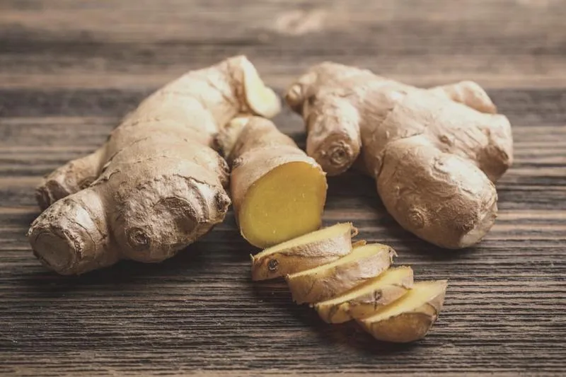 Roślina imbiru w naturalnym środowisku
