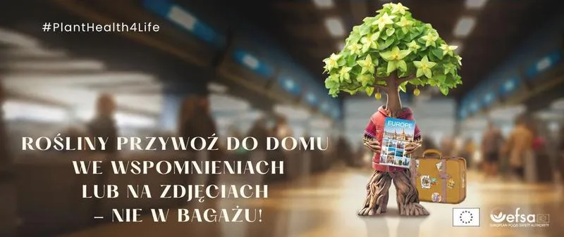 Rośliny a podróżowanie
