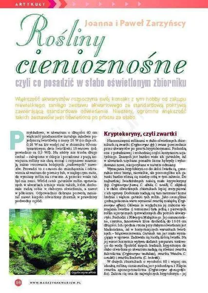 Rośliny cieniolubne