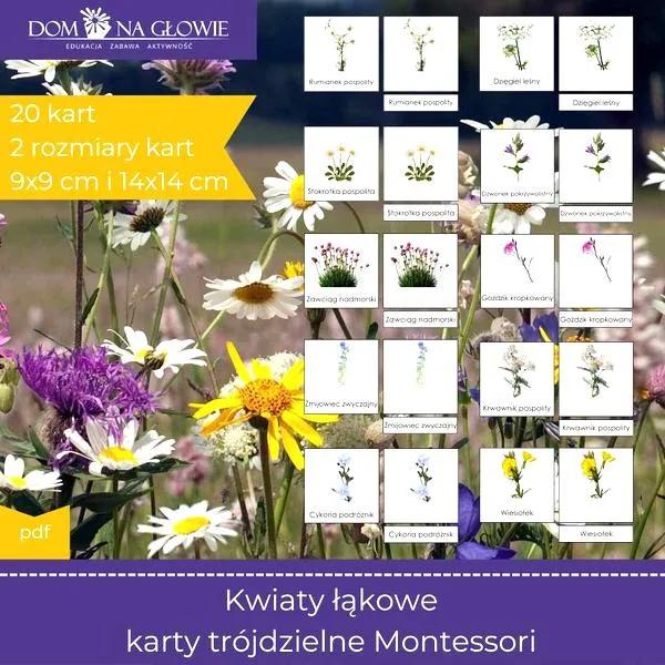 Rośliny łąkowe