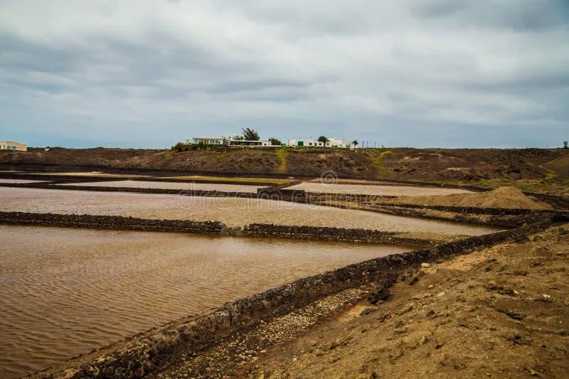 Rośliny poprawiające jakość gleby