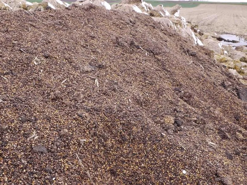 Rynek rolny w Polsce