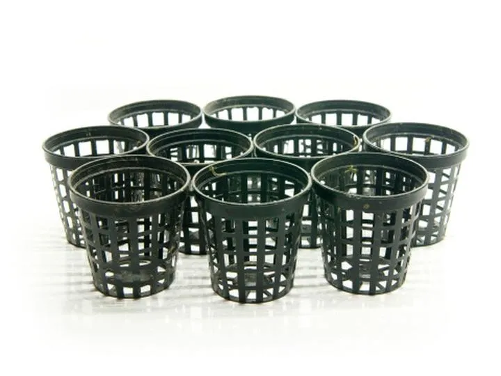 Sadzenie roślin akwariowych w koszyczkach