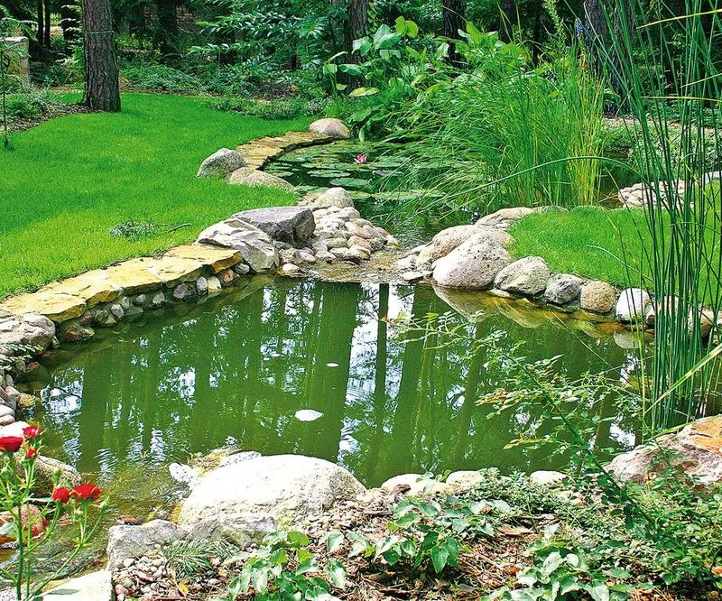 Sadzenie roślin wodnych