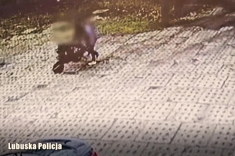 Segregacja odpadów