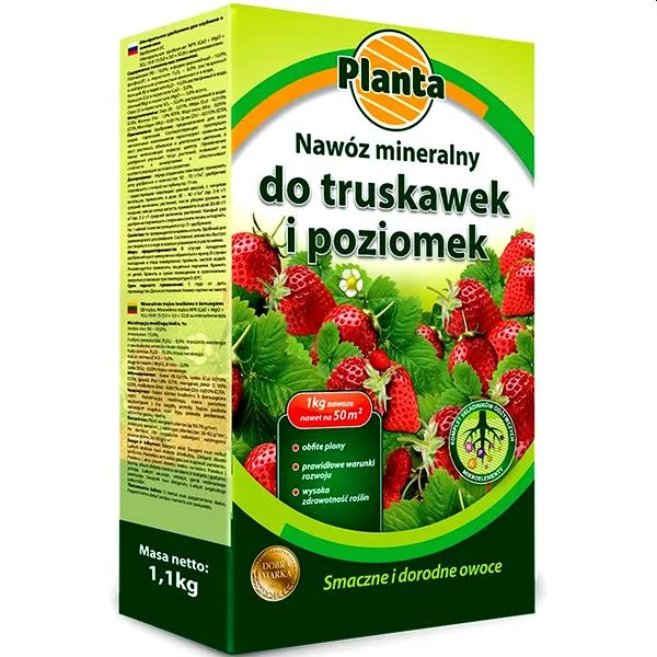 Składniki odżywcze dla poziomek