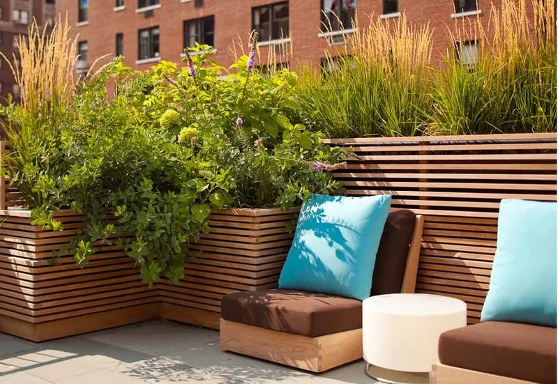 Sukulenty na pełne słońce