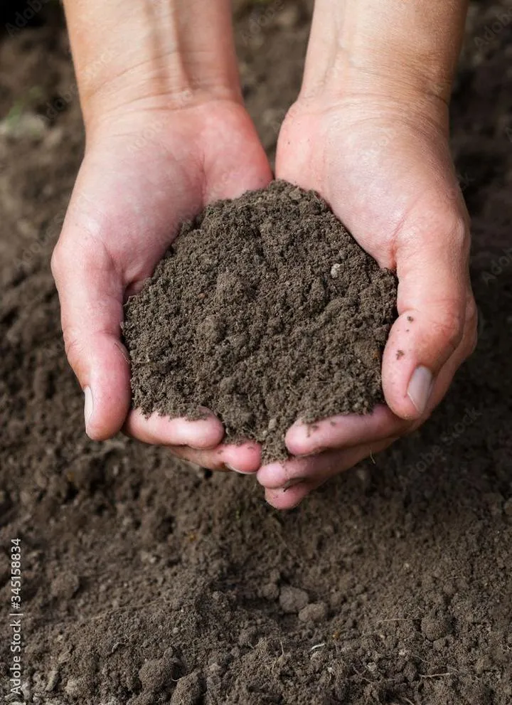 Techniki irygacyjne a zasolenie