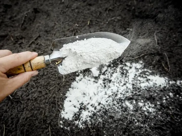 Terminy i techniki wapnowania