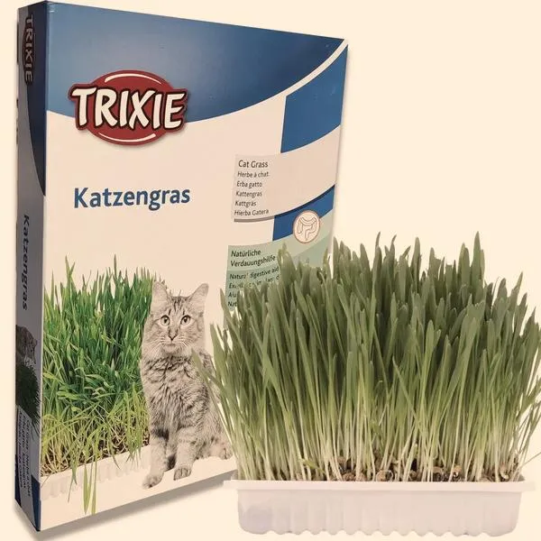 Trawa w ekosystemie