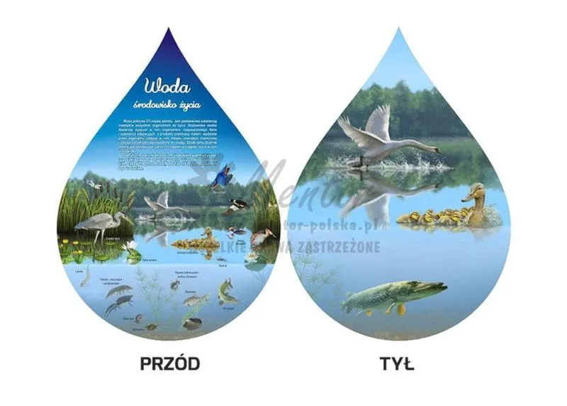 Wpływ człowieka na bioróżnorodność