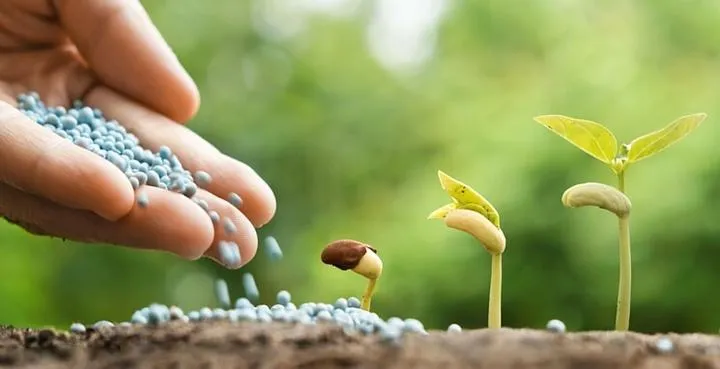 Wpływ kryzysu gazowego