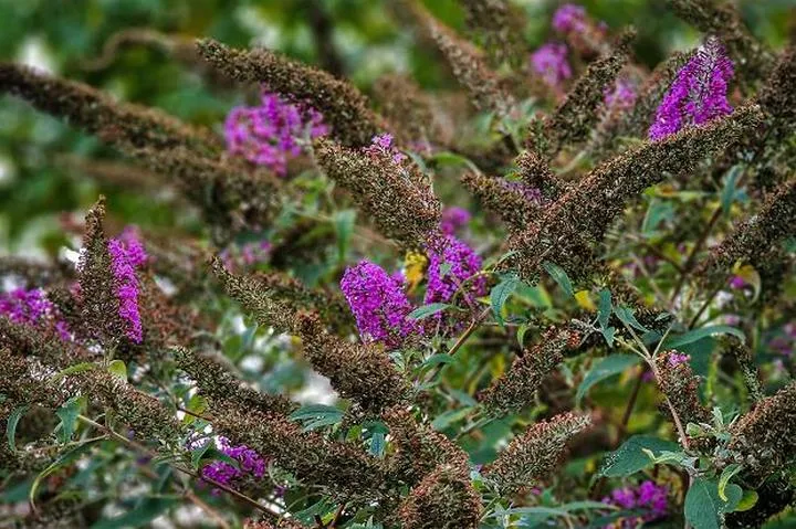 Wspieranie urodzajności gleby