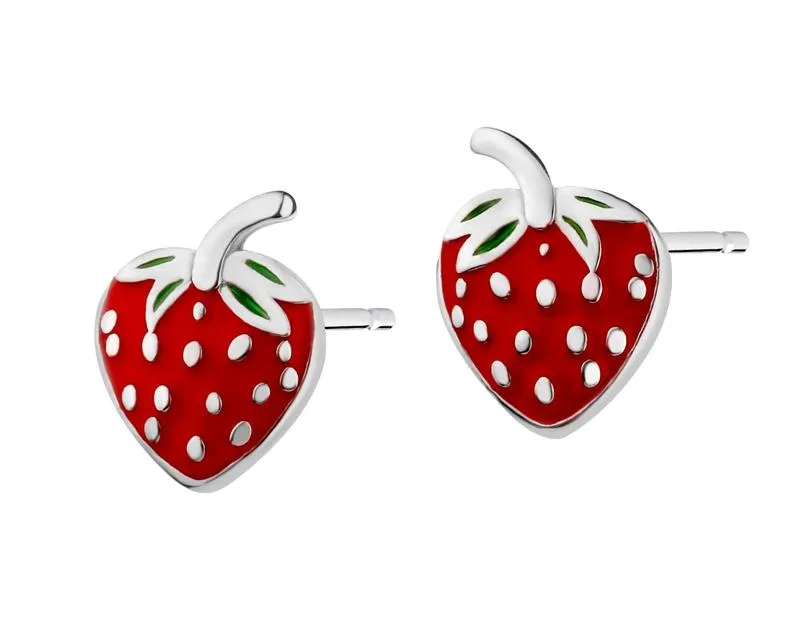 Wybór sadzonek truskawek