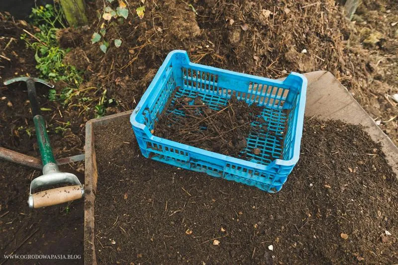 Zastosowanie kompostu