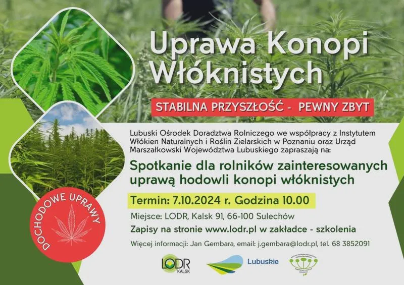 Zbóż i ich zyskowność