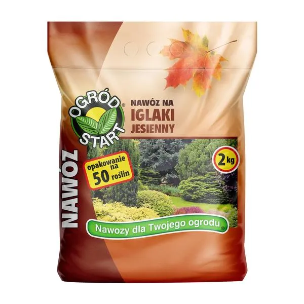 Zdrowe iglaki