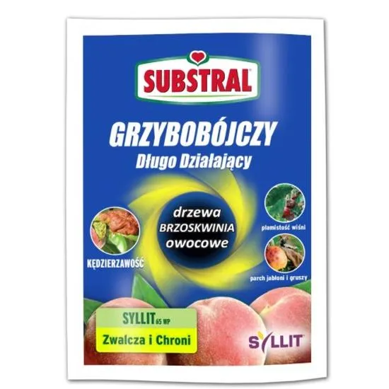 Zdrowe owoce brzoskwini