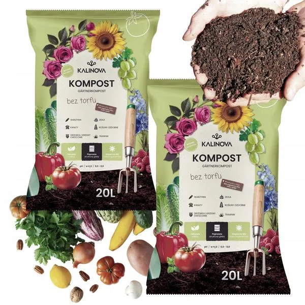 Zdrowe plony pomidorów
