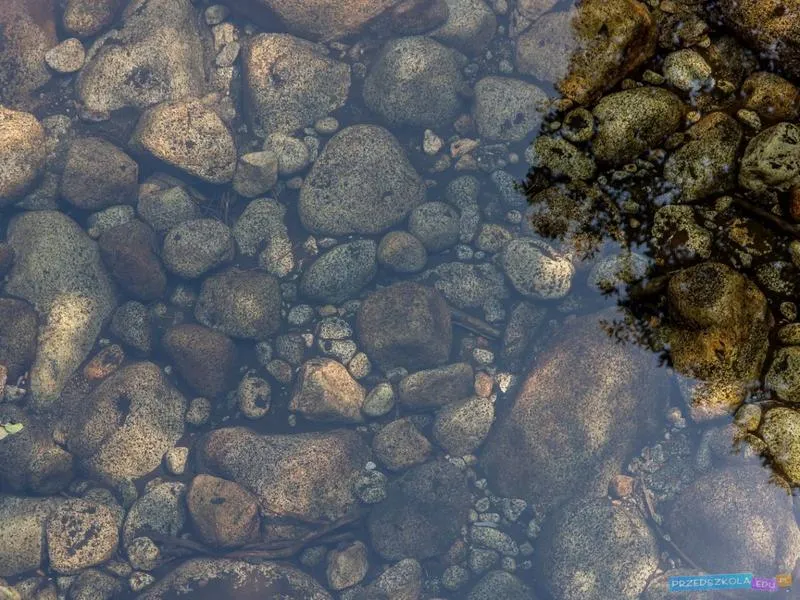 Zdrowie roślin i zwierząt