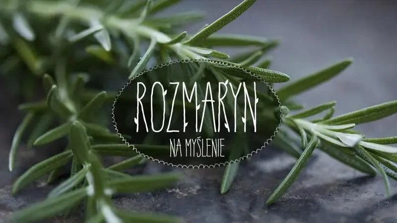 Zdrowotne właściwości rozmarynu