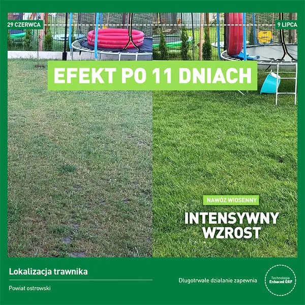 Zdrowy wzrost trawnika