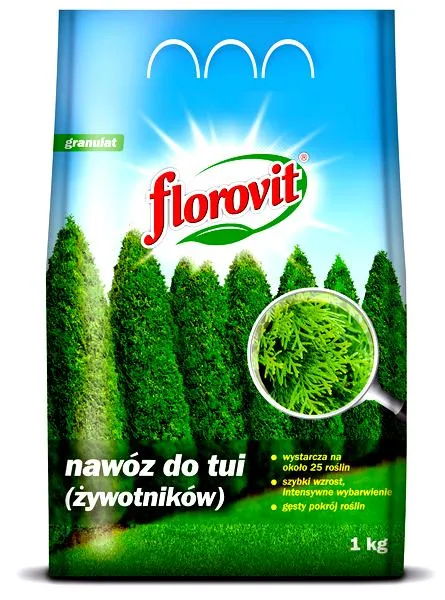 Zdrowy wzrost tui